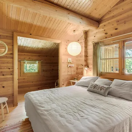 Cozy In With Wifi Graested
